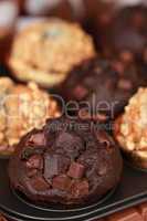 Schokolade-Muffin