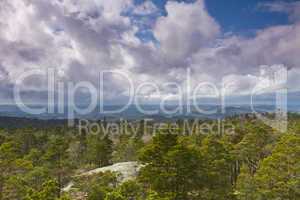 view over forest with cloudy sky