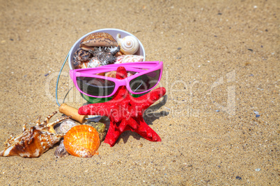 Starfish and shells on the sand