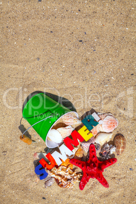 Summer background with shells on sand