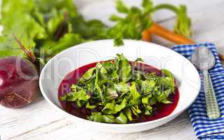 Vegetable soup from young, fresh sheets of the beetroot
