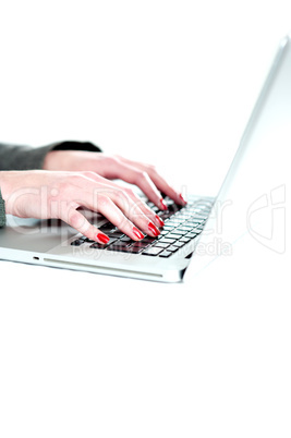 Female hands operating laptop. Cropped image