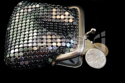 Purse with coins