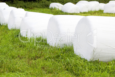 Weiße Strohballen eingepackt auf grüner Wiese