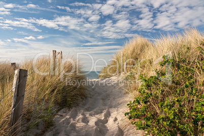 Weg zum Strand durch Dünen an der Ostsee