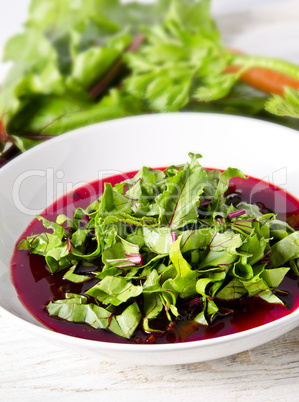 Vegetable soup from young, fresh sheets of the beetroot