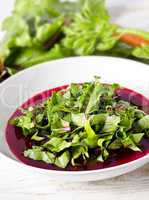 Vegetable soup from young, fresh sheets of the beetroot