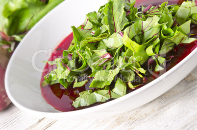 Vegetable soup from young, fresh sheets of the beetroot