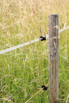 Holzpfahl in der Landschaft