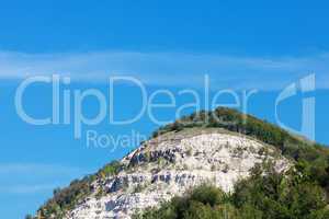 mountain with trees against the blue sky