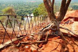 The view from Sigiriya (Lion's rock) is an ancient rock fortress