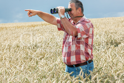 Man with binoculars in cornfield