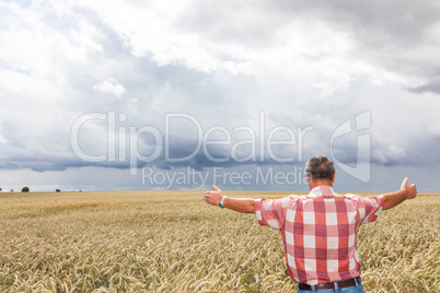 Bauer shows joy in his corn field