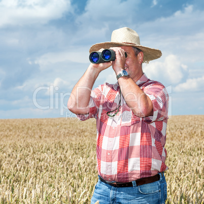 Man with binoculars in cornfield