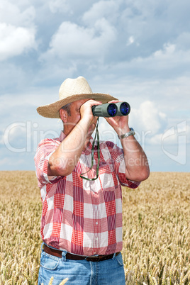 Man with binoculars in cornfield