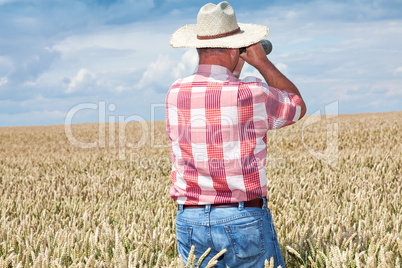 Man with binoculars in cornfield