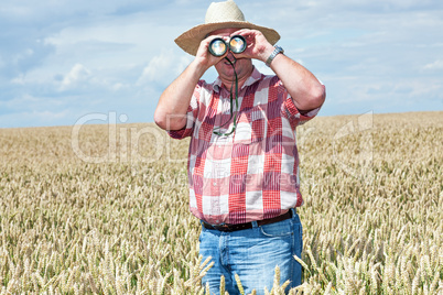 Man with binoculars in cornfield