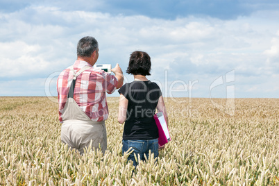 Farmer and agricultural engineer in the field discuss