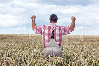 Bauer shows joy in his corn field