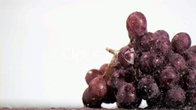 Purple grapes in super slow motion being soaked