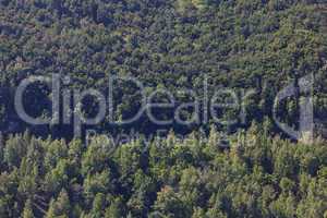 background of mountains with green trees