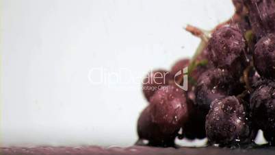 Purple grapes in super slow motion receiving drops of water