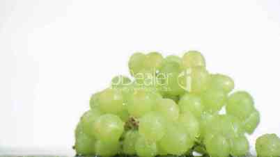 Bunch of green grapes in super slow motion receiving drops