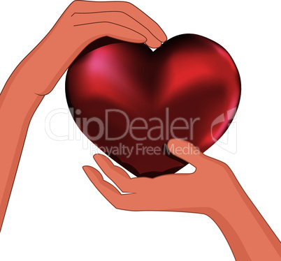 Person hold red heart in hand vector.