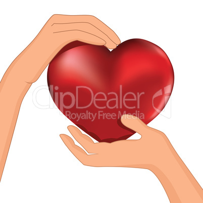 Person hold red heart in hand vector