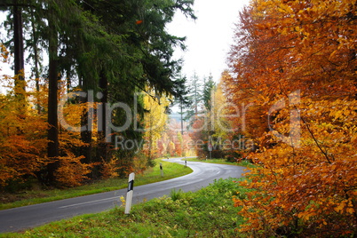 Straße im Herbstwald