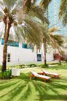 Sunbeds on the green lawn and palm tree shadow in luxury hotel,