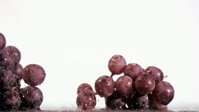 Purple grapes in super slow motion receiving water