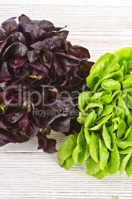 coloured salads mixed