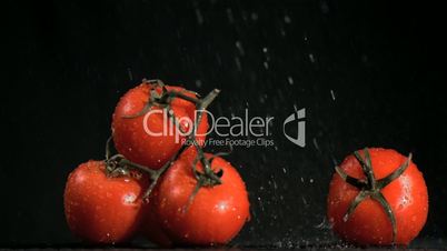 Tomatoes in super slow motion receiving raindrops