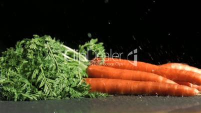 Carrots in super slow motion receiving raindrops