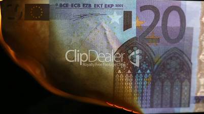 Video of a burning bills of twenty euros