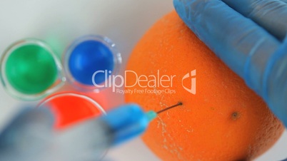 Scientist injecting a product in an orange