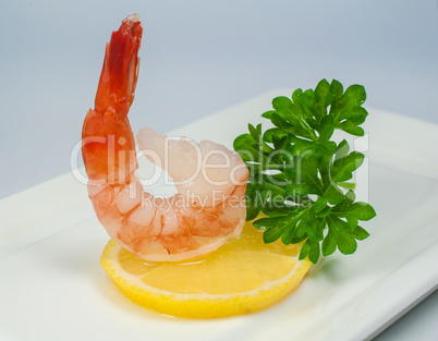 shrimp