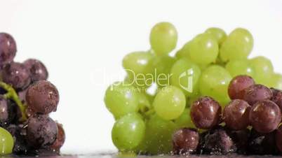Bunches of grapes in super slow motion receiving drops