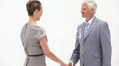 Business people shaking hands against a white background