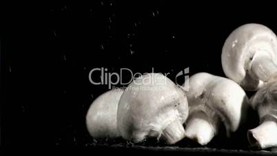 Delicious mushrooms in super slow motion being soaked