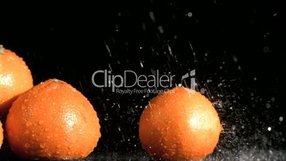 Tasty oranges in super slow motion receiving water