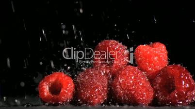 Raspberries in super slow motion being soaked