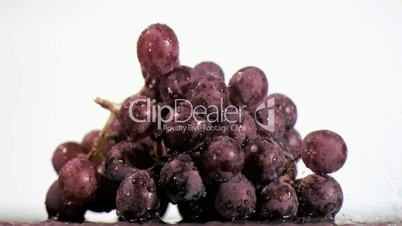 Purple grapes in super slow motion being wet