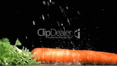 Carrot in super slow motion being soaked