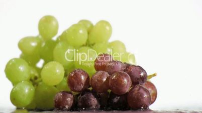 Delightful grapes in super slow motion receiving water