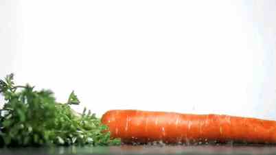 Tasty carrot in super slow motion receiving drops