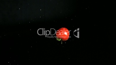 Tomato being thrown in super slow motion