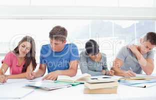 Four students sit beside each other and study