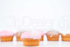 Many muffins with icing sugar lined up